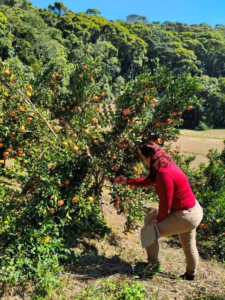 WhatsApp Image 2025-07-29 at 09.35.48 (1)