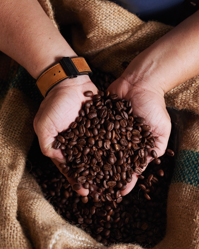 Handful of fresh roasted coffee beans form the sack
