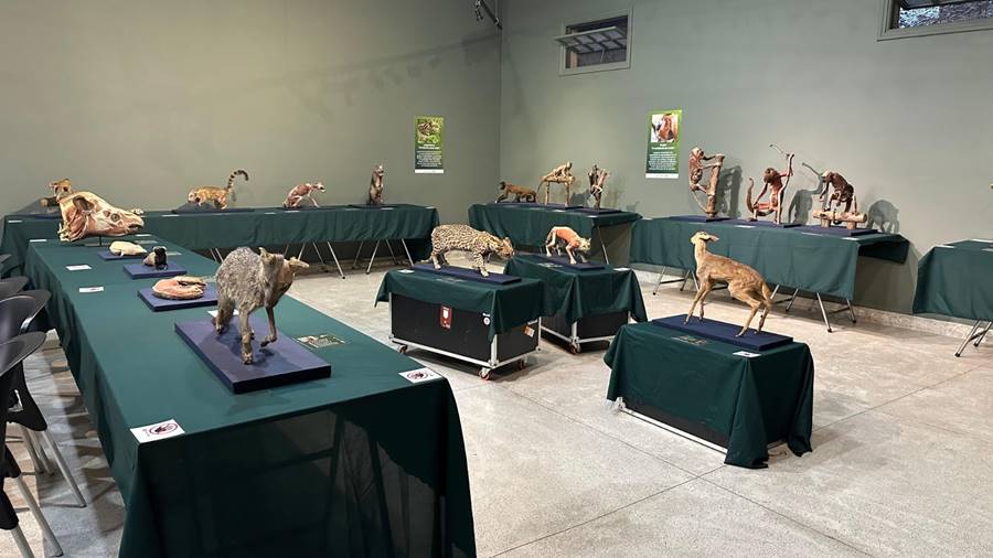 Imagem do WhatsApp de 2025-08-04 à(s) 16.37.31_2fab9485