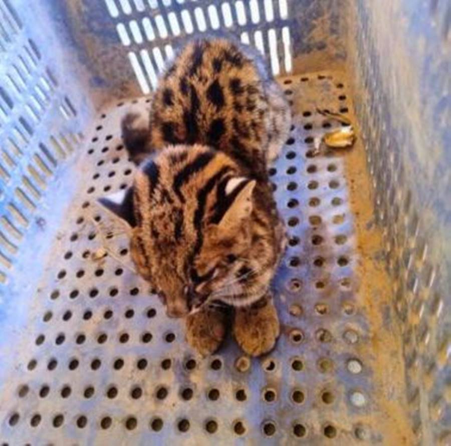 Imagem do WhatsApp de 2025-08-26 à(s) 22.20.47_df42547f