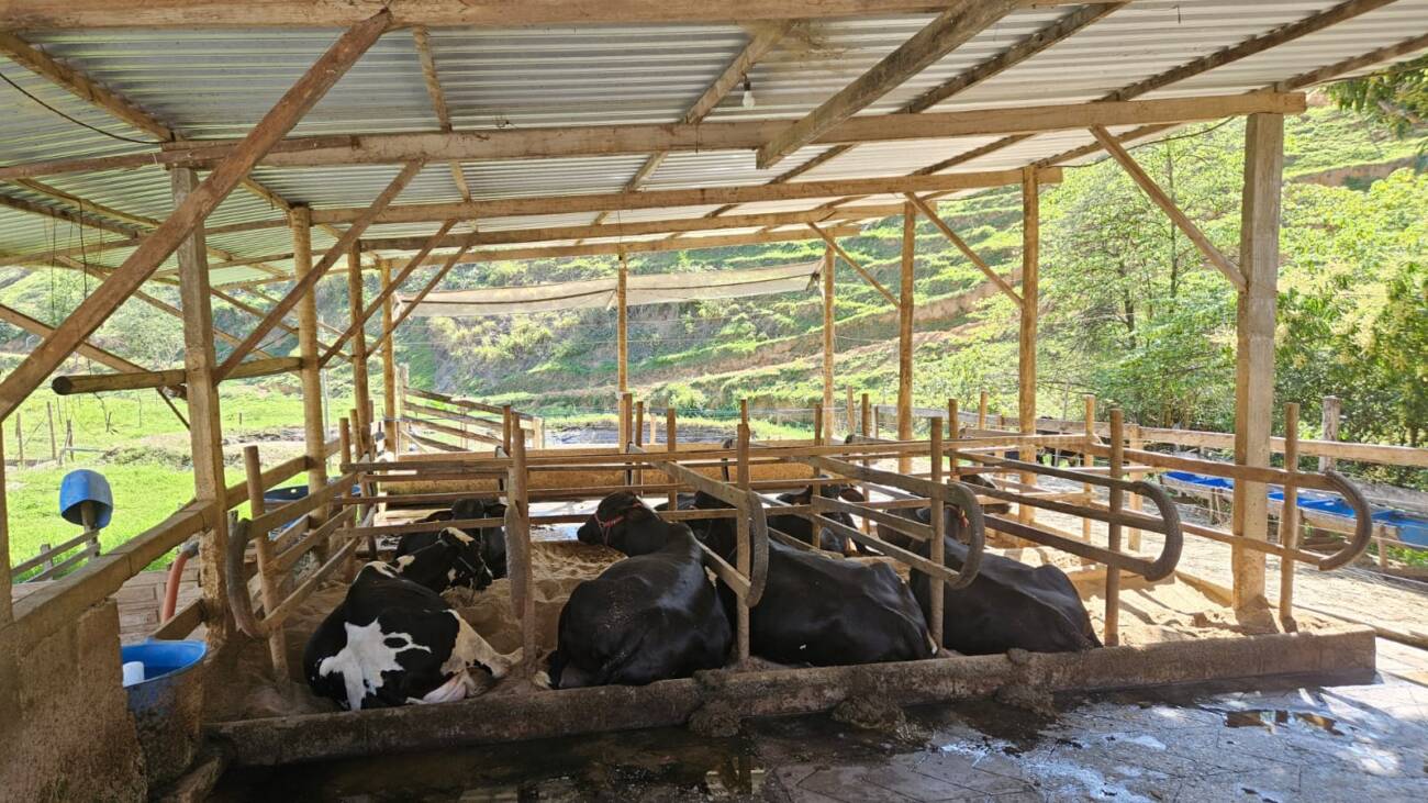 WhatsApp Image 2025-07-30 at 17.36.29