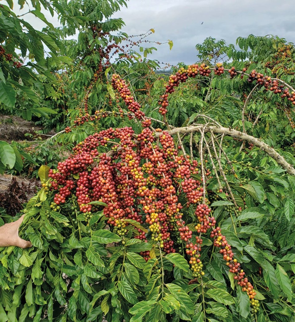 WhatsApp Image 2025-08-19 at 14.12.00