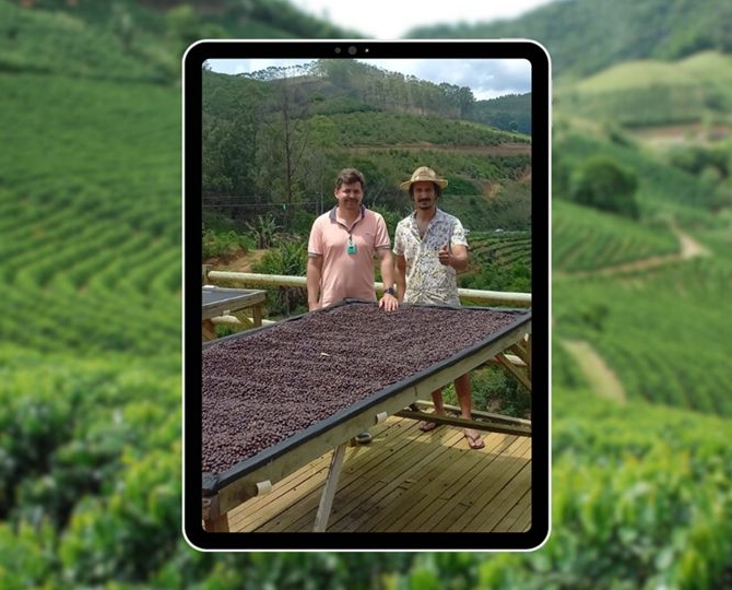 sistema de sustentabilidade non