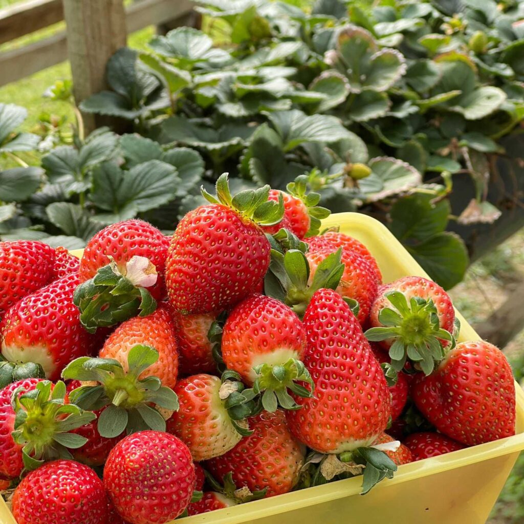 {B37CE8DA-5BCD-A654-5736-05DB6CACBED6}