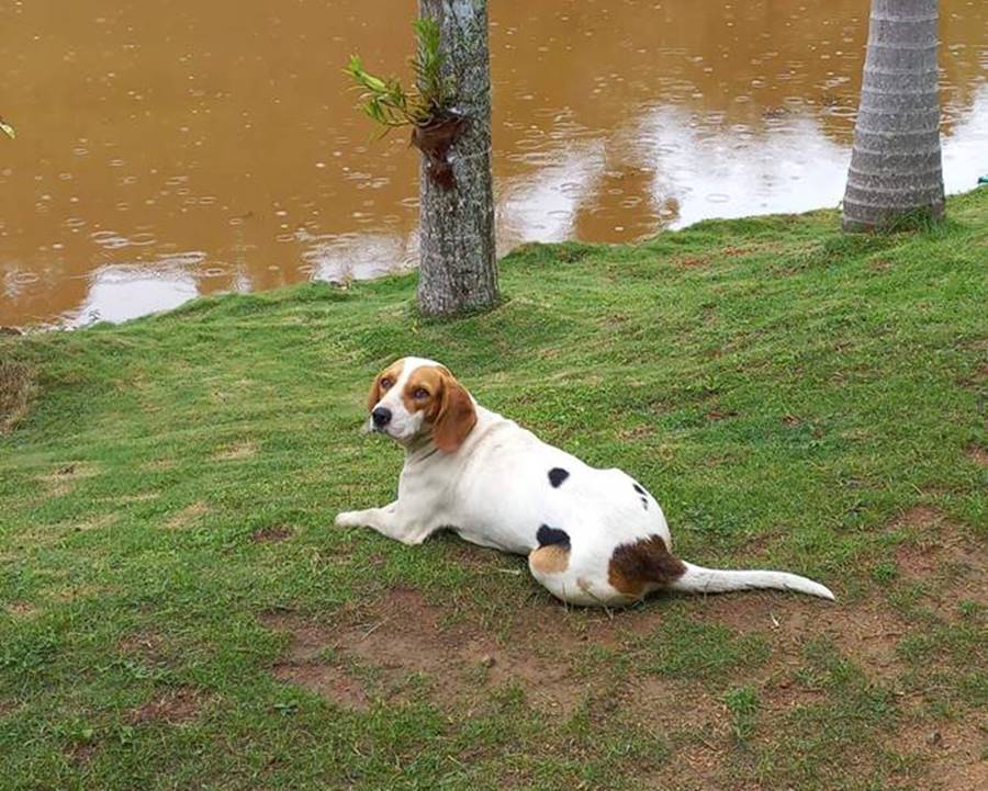 Imagem do WhatsApp de 2025-09-19 à(s) 17.03.28_47cf6ac3