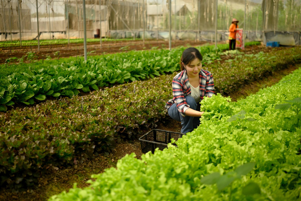 agricultura familiar-freepik