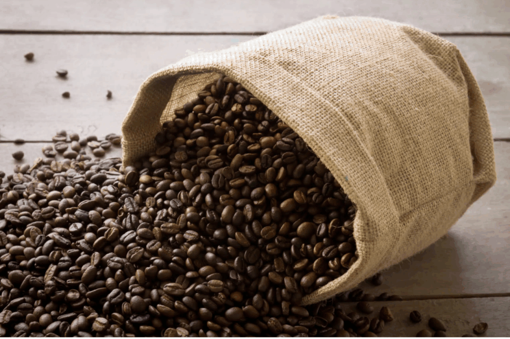 Crédito - Divulgação-Freepik