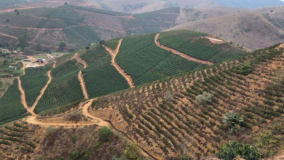 WhatsApp Image 2025-10-30 at 14.06.01