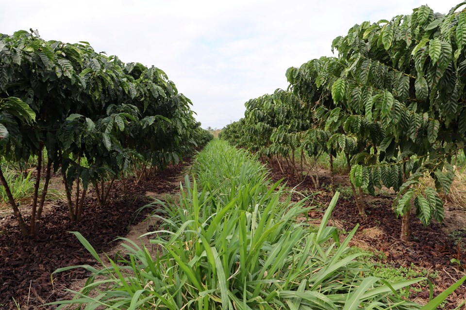 WhatsApp Image 2025-11-13 at 16.14.18