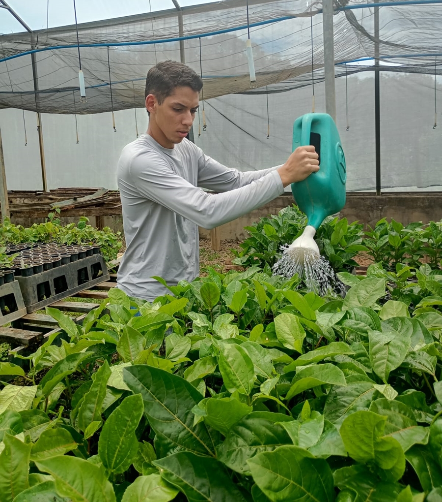 DIVULGAÇÃO- INCAPER