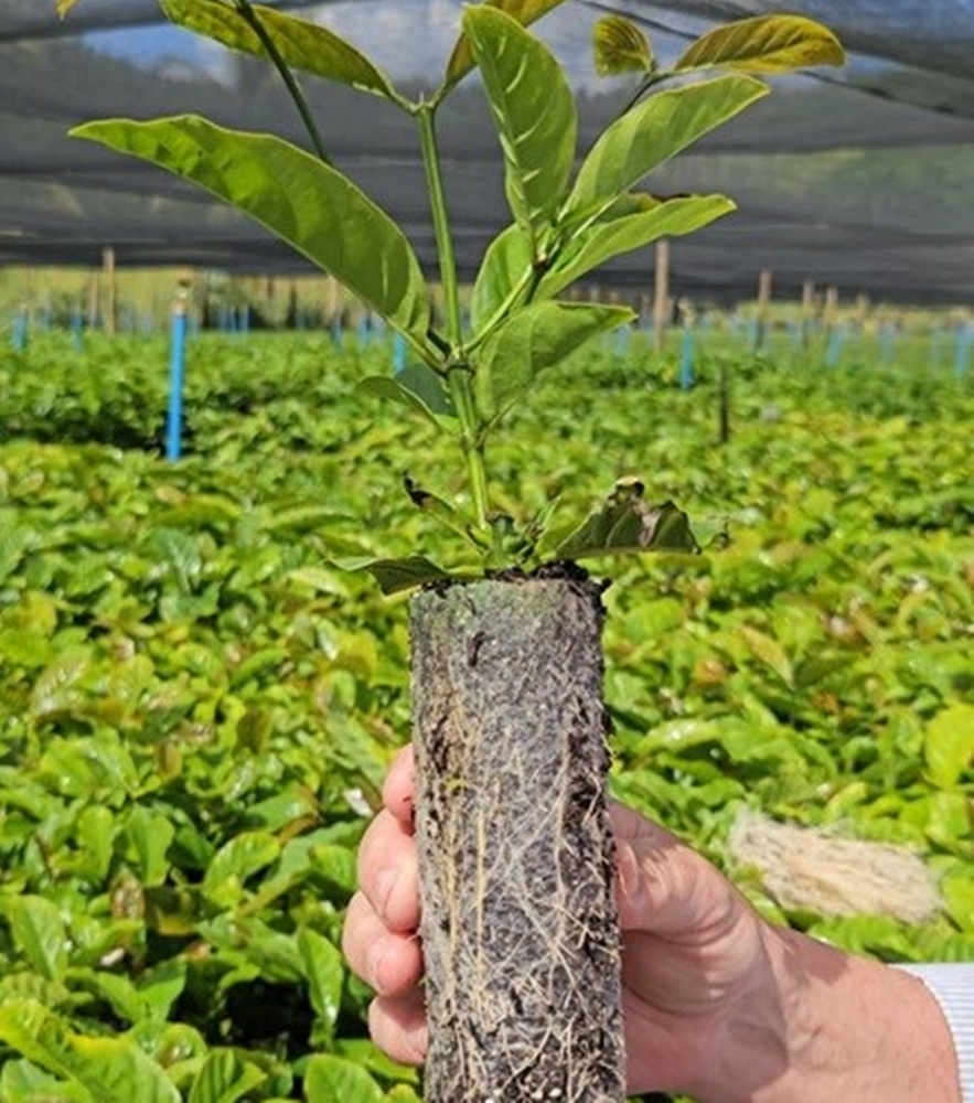 WhatsApp Image 2025-12-05 at 09.44.48-1