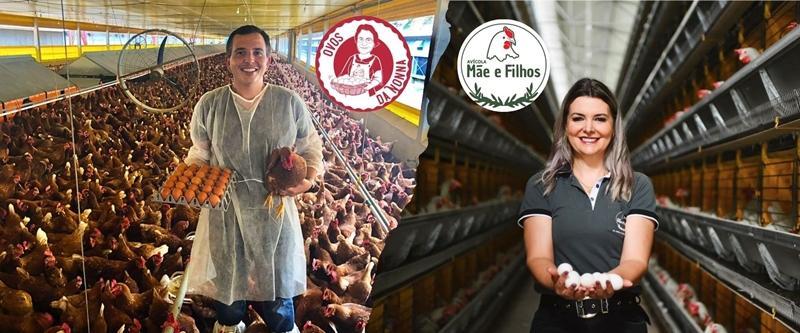 avicultores capixabas