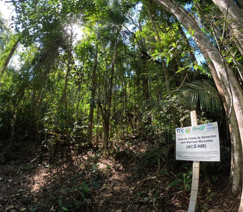 dsitribui;ao de sementes