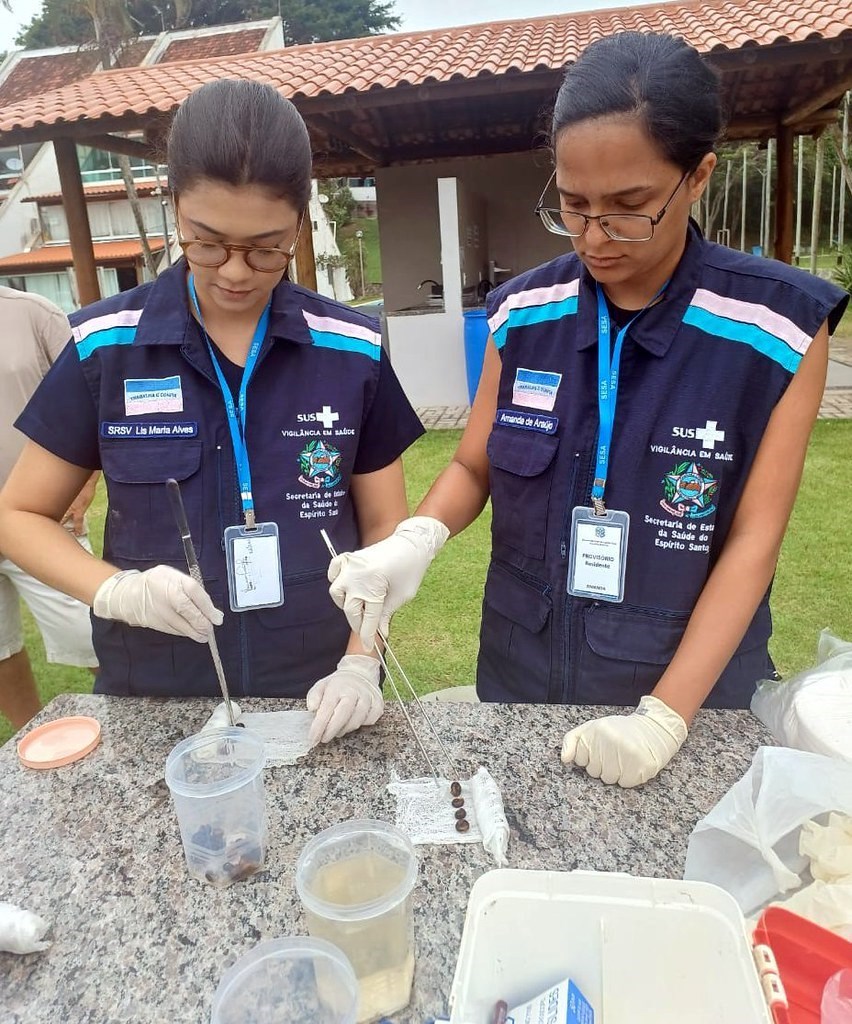 55088673675_d22c971aa4_b