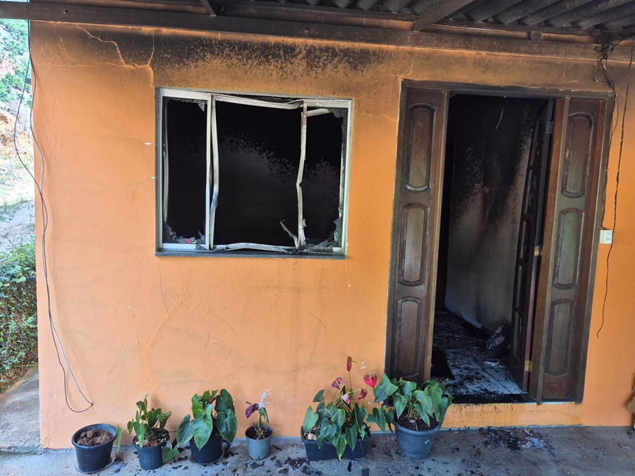 WhatsApp Image 2026-02-20 at 15.12.42