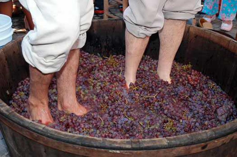 {76A4CA4B-2DC3-DB86-D33E-CE7CAAEBCE5C}