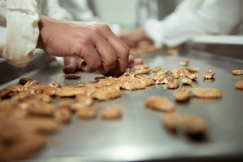 Noz_Pecan_Foto_Divulgacao