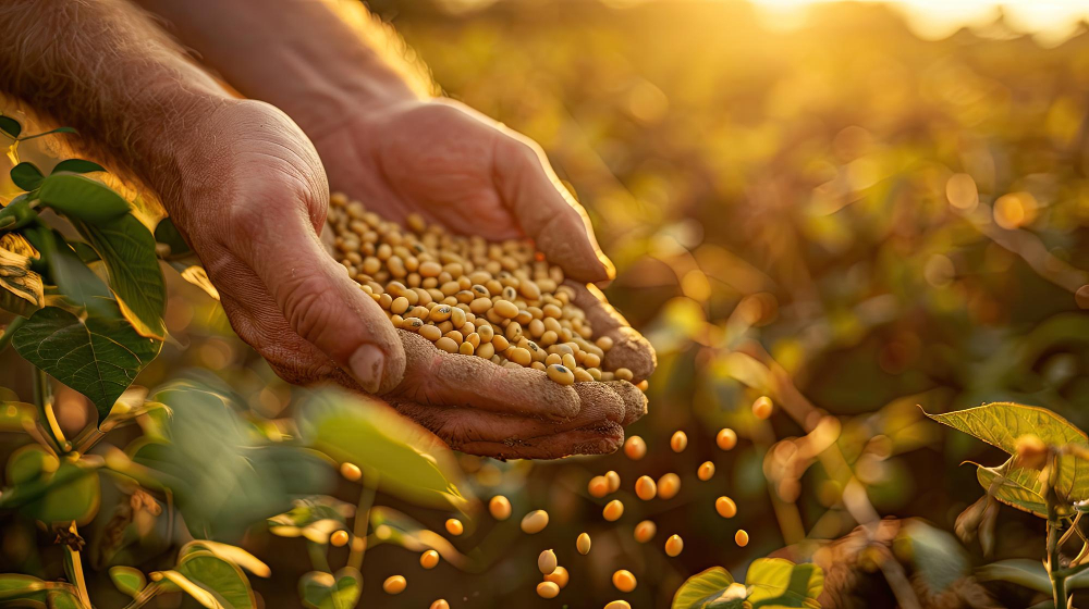 agronegócio- freepik