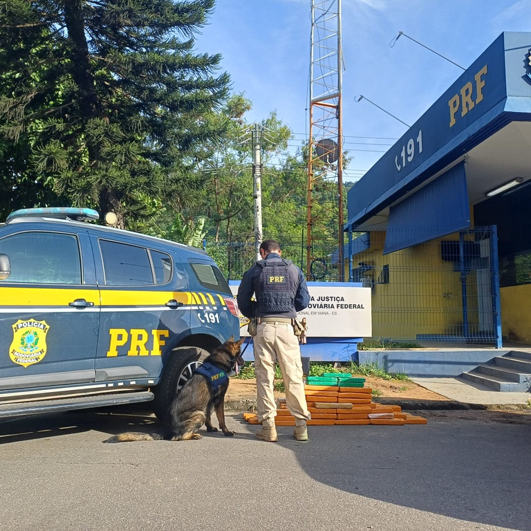 f4425084-fbeb-4b3c-91cf-6f40b239ee30