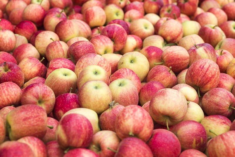 Pile of red fresh apple fruit.
