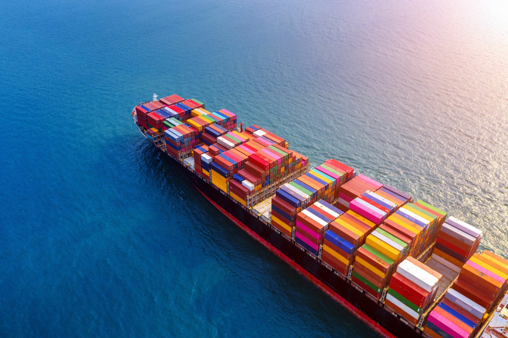 EXPORTACA MAGNIFIC