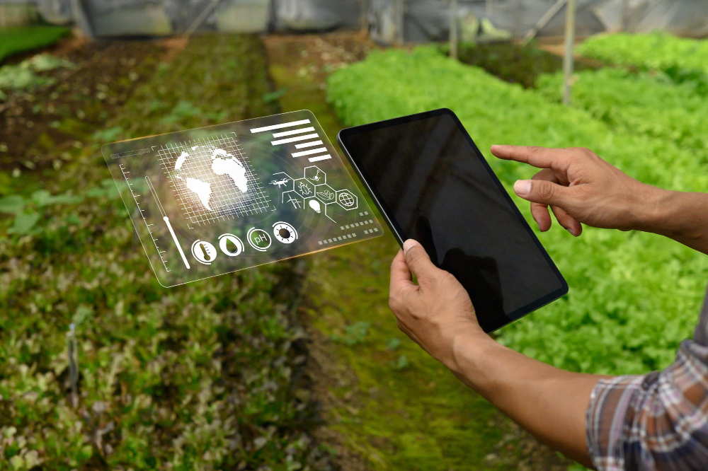 Tecnologia_Campo_magnific