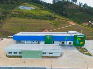 Cooperativa amplia em 900% o processamento de tilápia e mira mercados da Grande Vitória, Rio de Janeiro e São Paulo