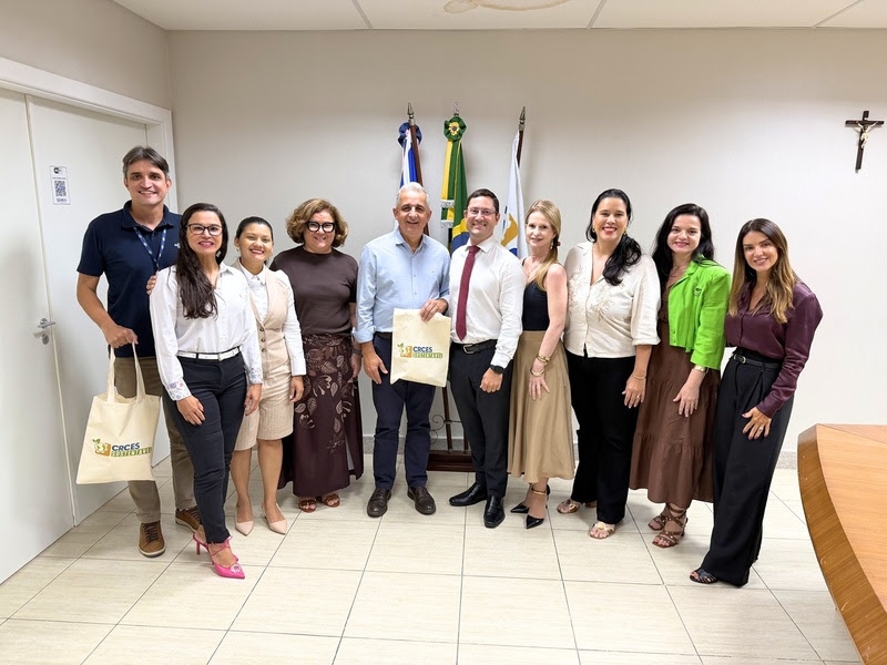 capcitação de contadores