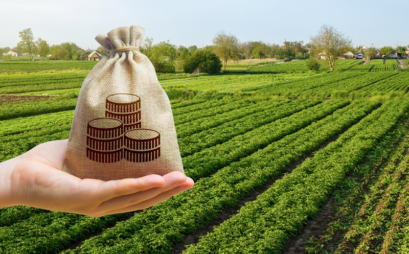 Money bag and farm field background. Lending and subsidizing farmers. Grants, financial support. Agribusiness profit . Land value valuation. Land tax. Agricultural startups. Secured loan. Investments