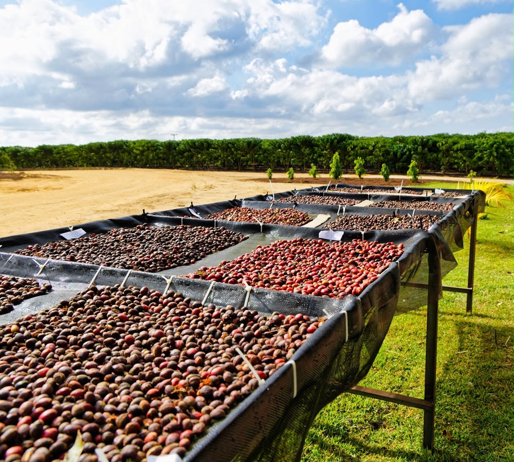 a3018156-a674-4764-b002-ae9d0be2f2b1