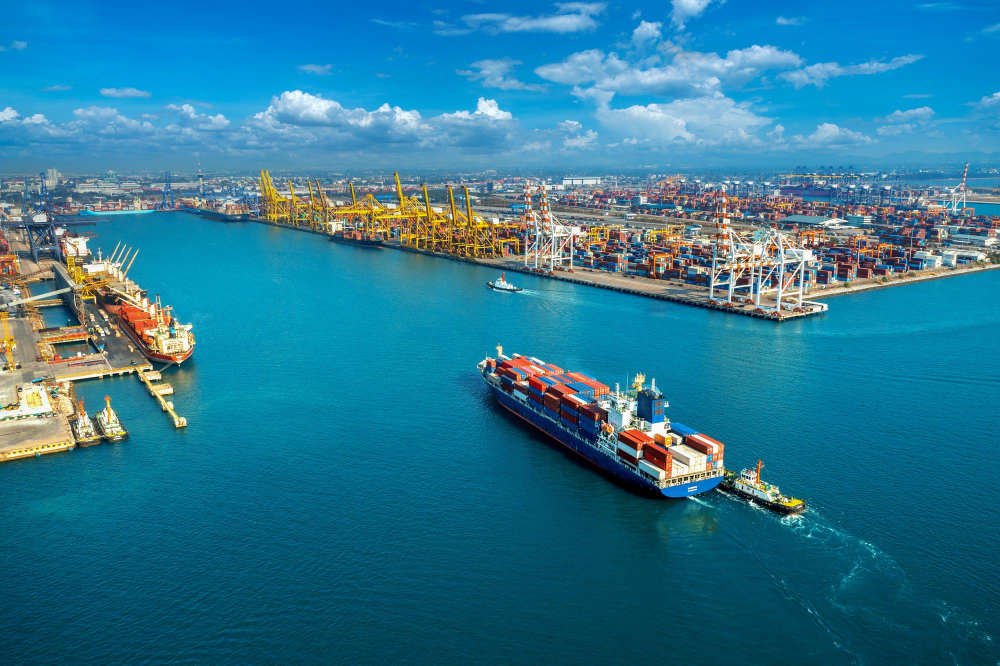 exportação- foto- magnific
