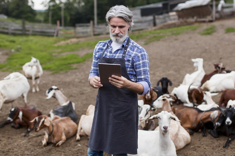man-farm-looking-tablet