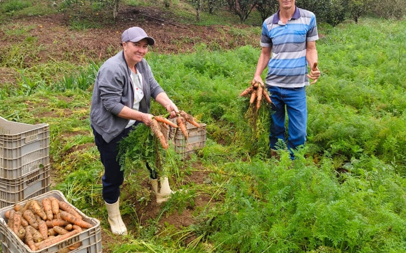 agricultores levam alimentos