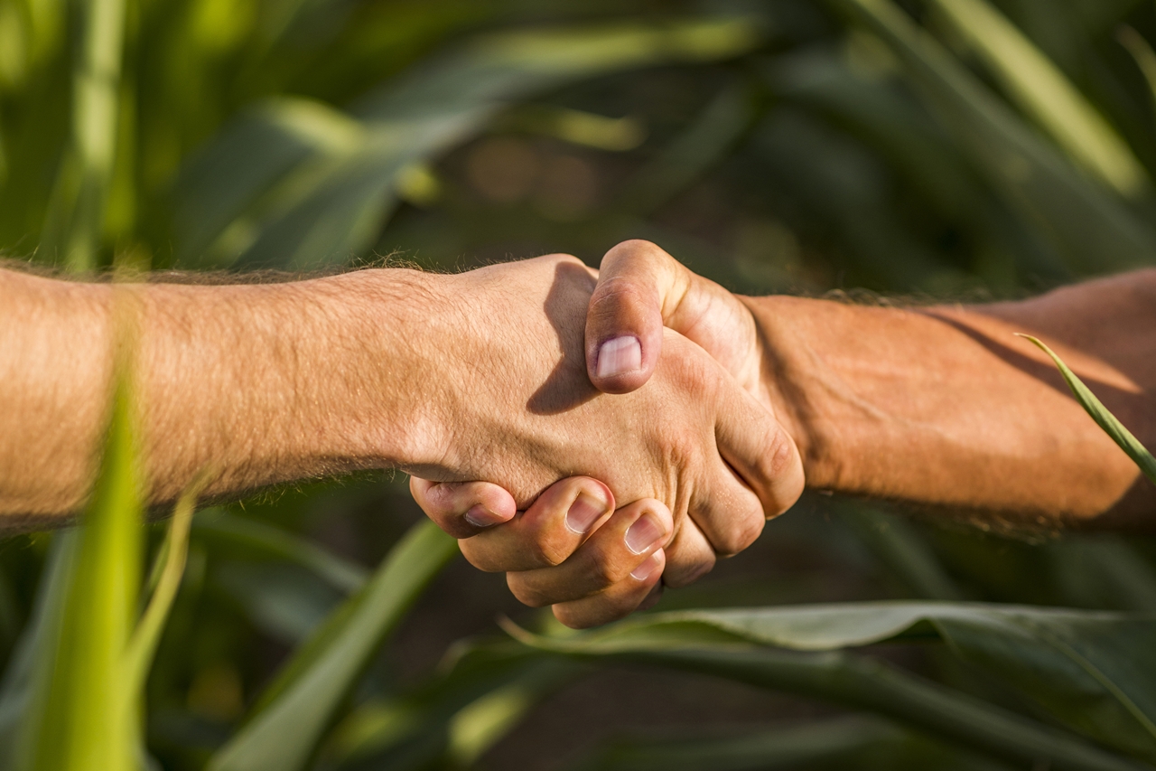 close-up-man-handshake-sunny-day