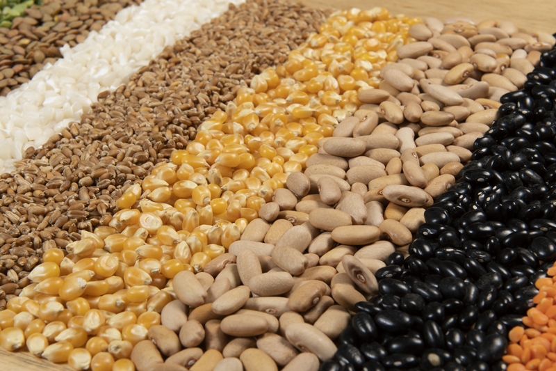 Collection of different cereal varieties and edible dry seeds. Examples of fiber sources