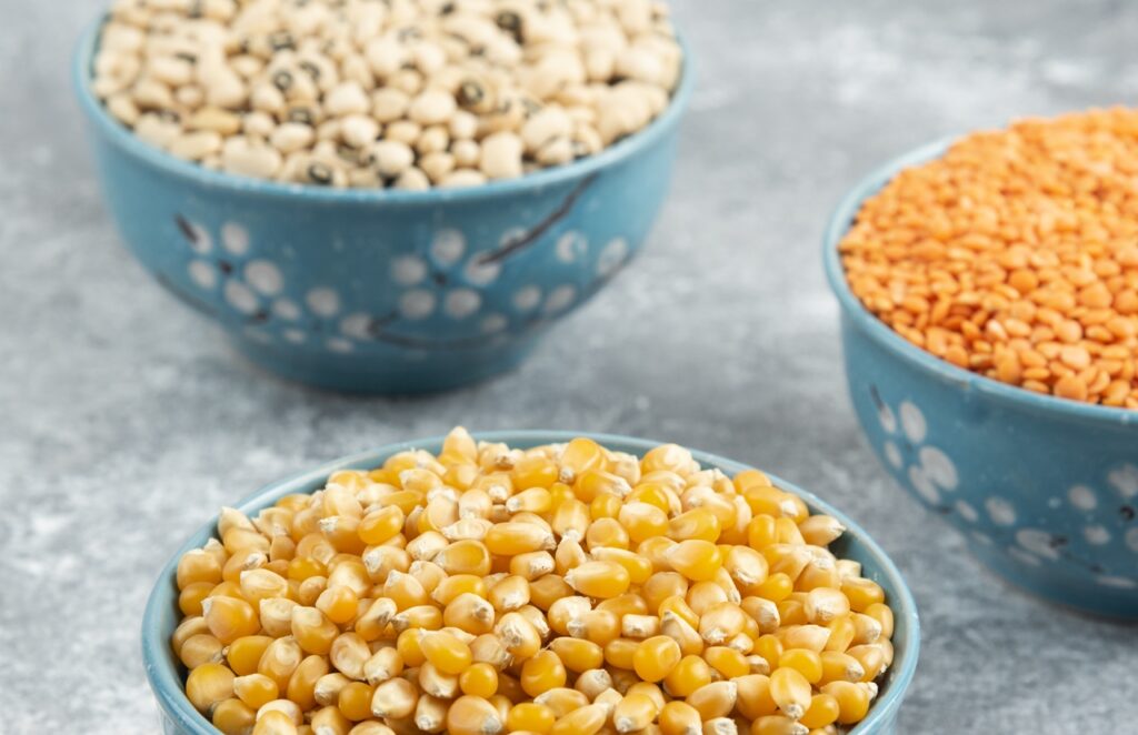 Raw red lentils, corns and white beans in blue bowls. High quality photo