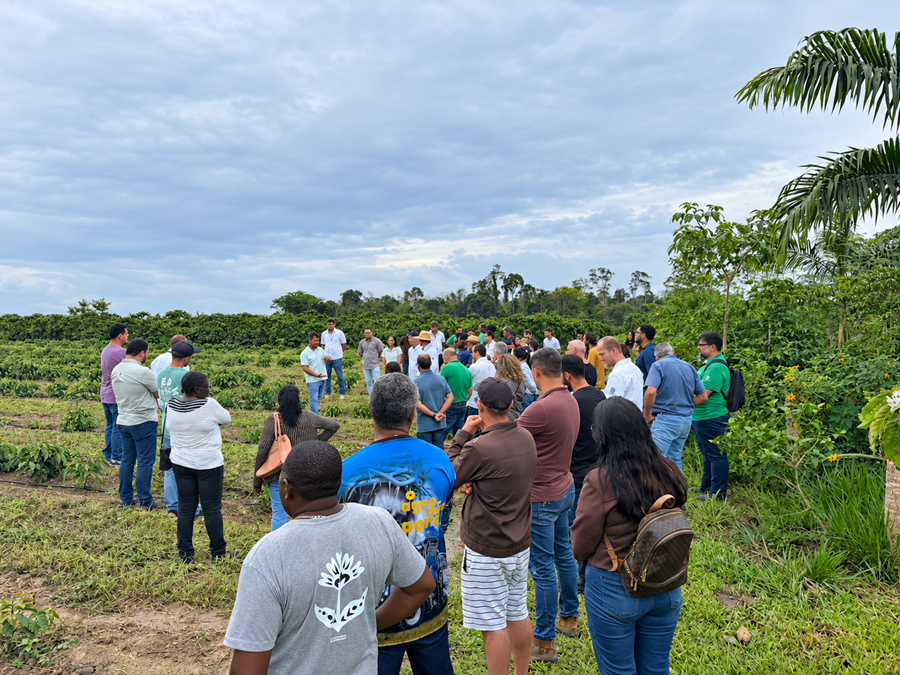 visita-tecnica-a-plantacao-verde