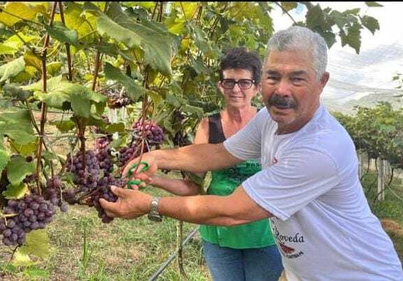 {288AEA58-BBE6-73E0-C52D-BB6B4DDE8EE4}