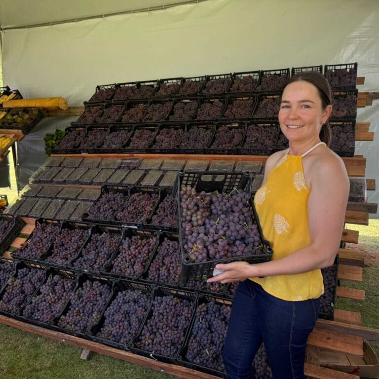 {2AB7CE0E-8AE6-AD18-D432-7ECDDECE541A}