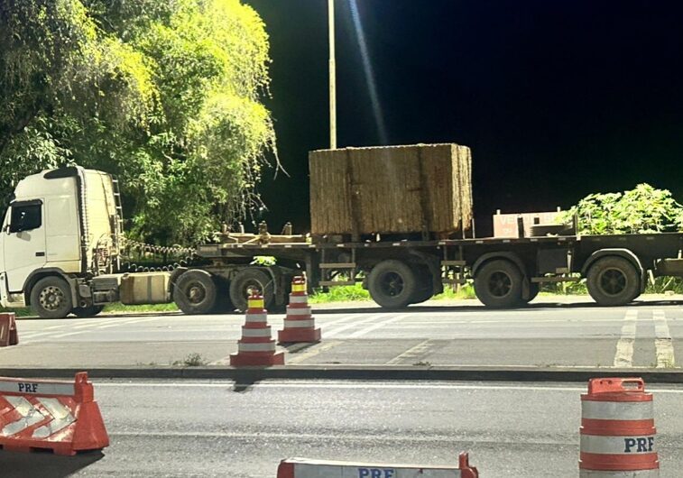 735fc166-5467-4c57-8254-2045d7745272