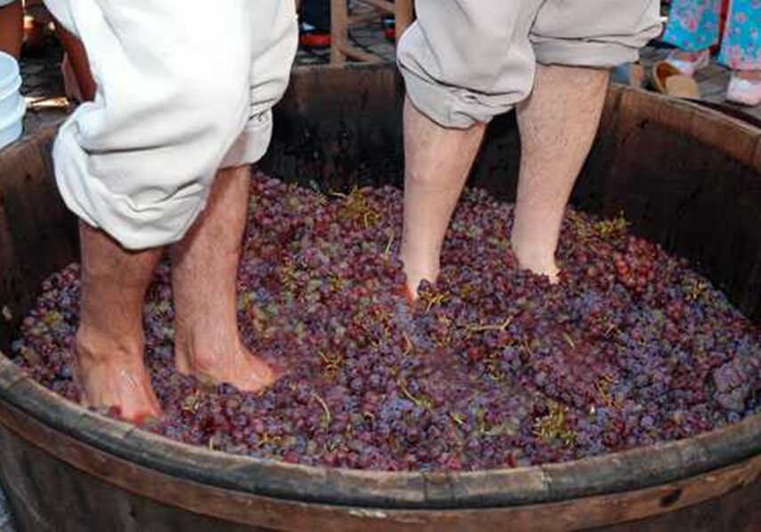 {76A4CA4B-2DC3-DB86-D33E-CE7CAAEBCE5C}