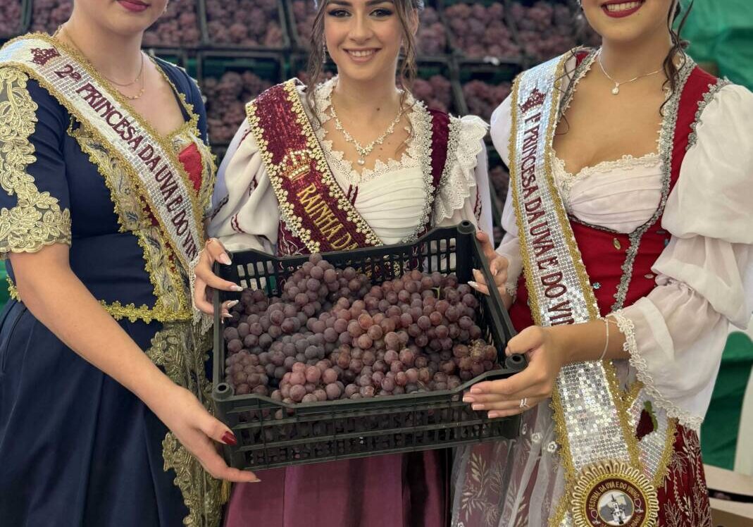 {784A0A5E-BEA7-D73C-C247-BDDC3CEDE26C}