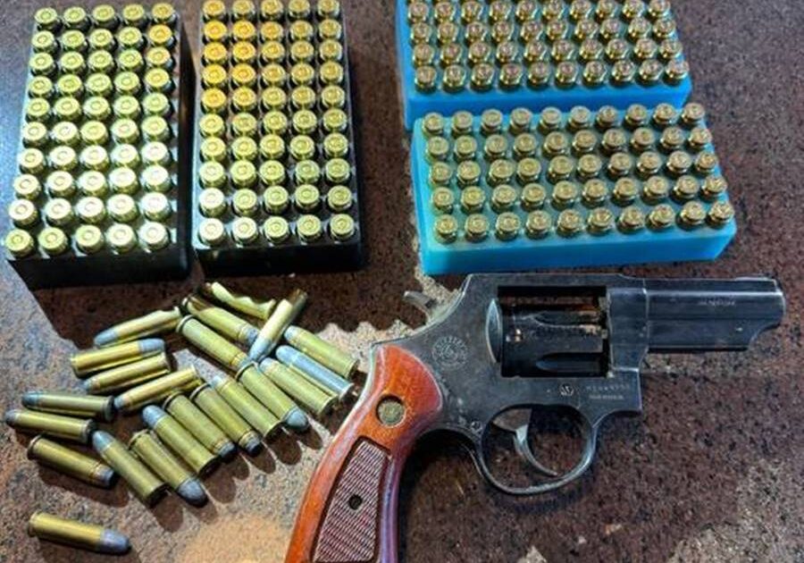 8e29bcee-af5b-491f-9e54-0fbc9f43d8e5