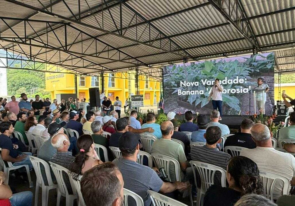 {AD514683-CAC4-61B7-60DC-AD28CCA4E155}