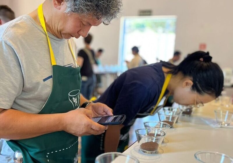 Cafe-vencedor-do-Cup-of-Excellence-Brazil-e-vendido-por-R-845-mil-a-saca