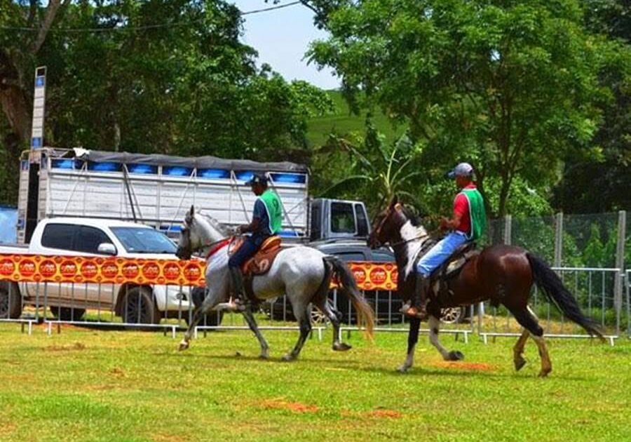 Cavalos-Alfredo-Chaves