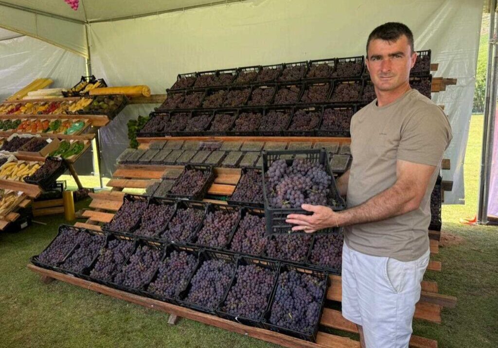 {DCBD0DD0-BAED-8713-B5BD-1E86EC7B65D6}