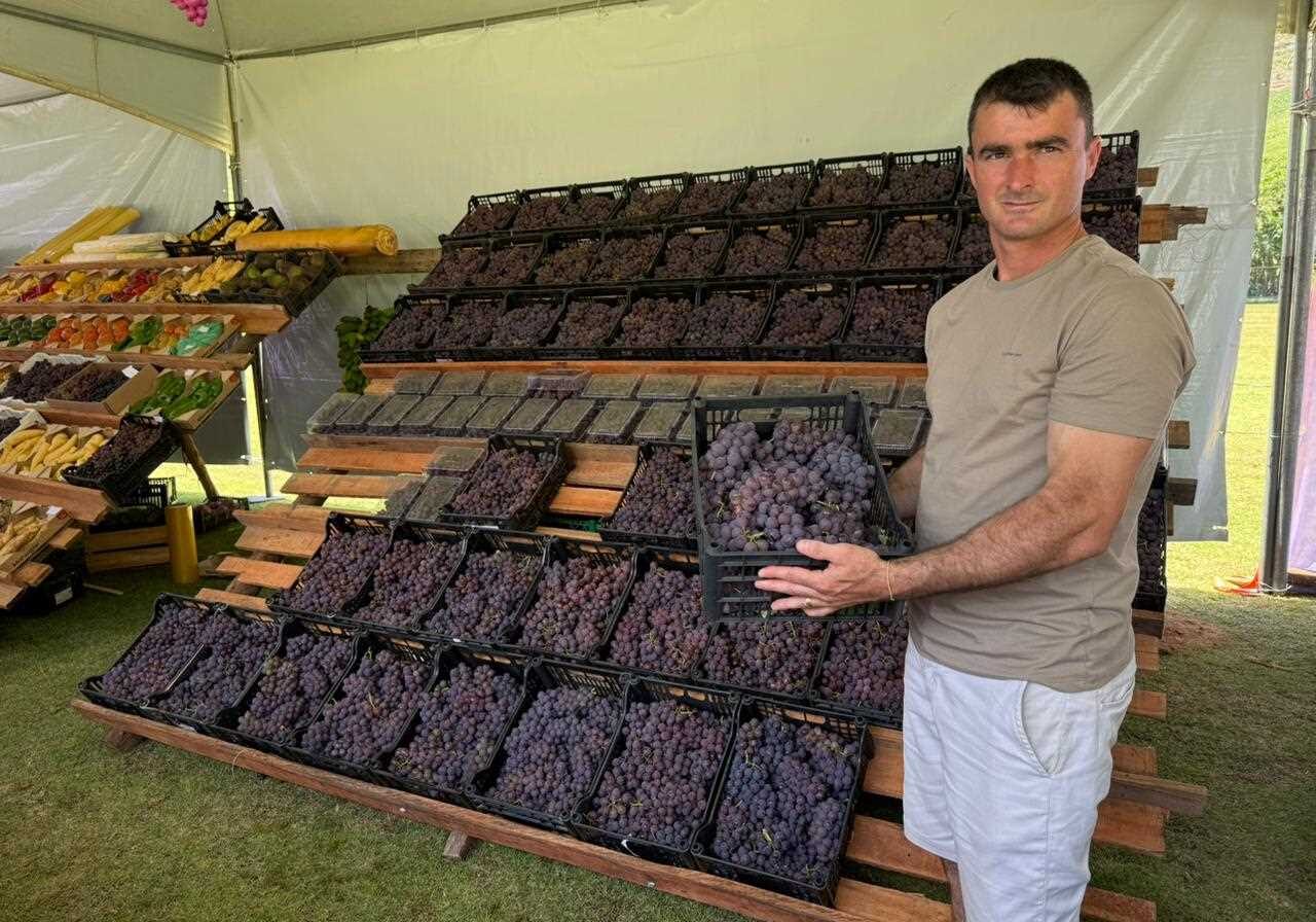 {DCBD0DD0-BAED-8713-B5BD-1E86EC7B65D6}