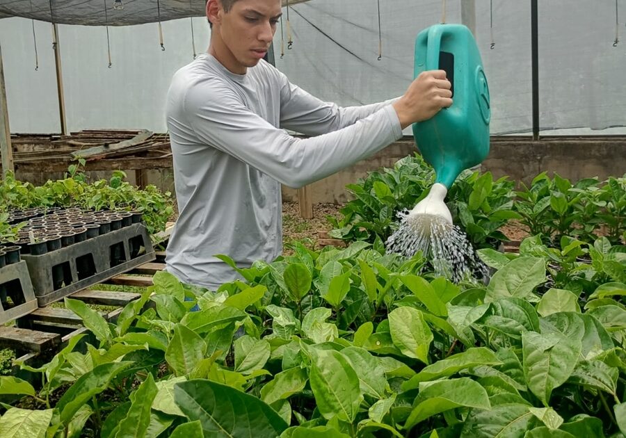 DIVULGAÇÃO- INCAPER