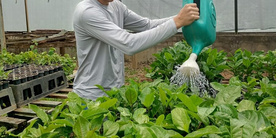 DIVULGAÇÃO- INCAPER